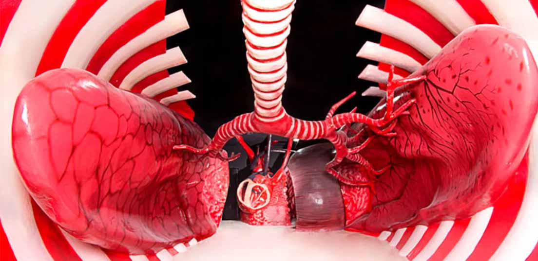 پارک علمی پروفسور بازیما